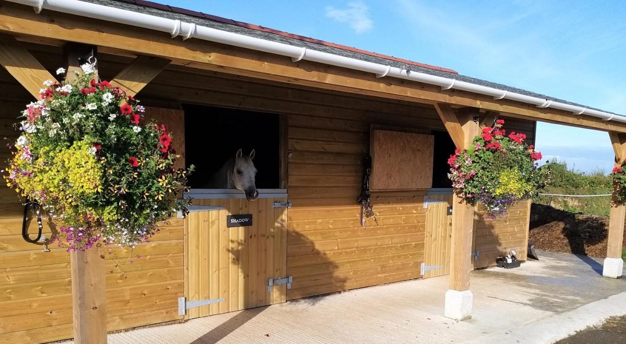 Rosebank Barn Brentor Exterior foto